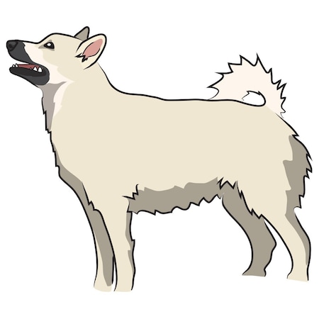 Signmission Norwegian Buhund Dog Decal, Dog Lover Decor Vinyl Sticker D-12-Norwegian Buhund